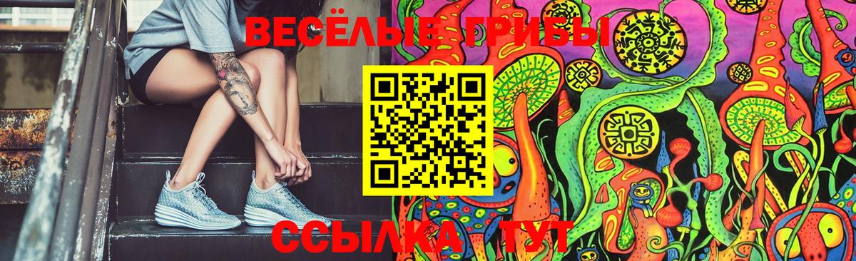 закладка  Псилоцибиновые грибы прущие грибы  Вход с VPN  Курчалой 