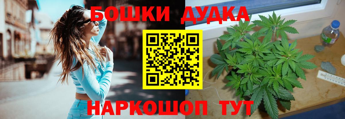 МАРИХУАНА план Курчалой